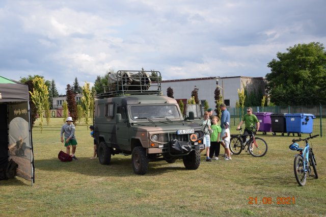 pikniklo 36